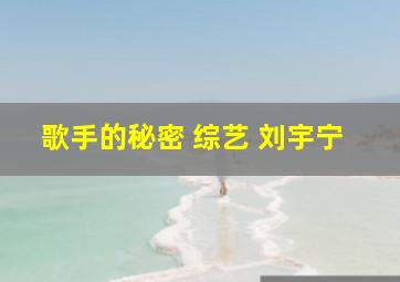 歌手的秘密 综艺 刘宇宁